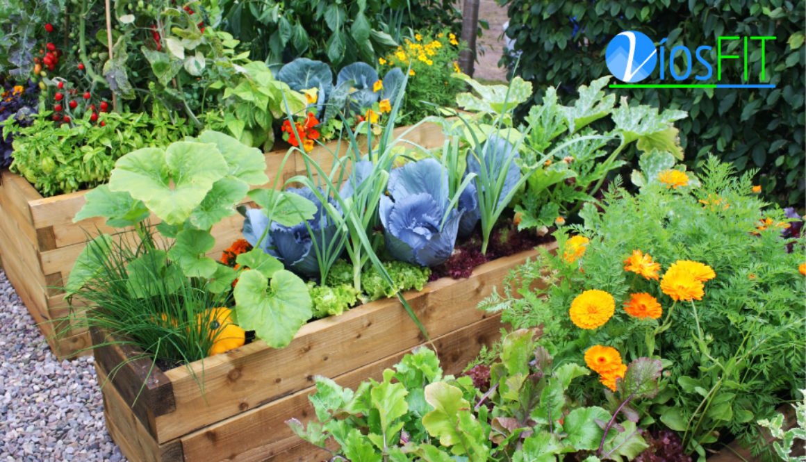 gardeningwithpurpose